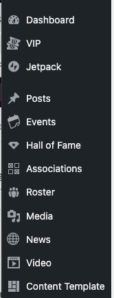 view of the WordPress dashboard