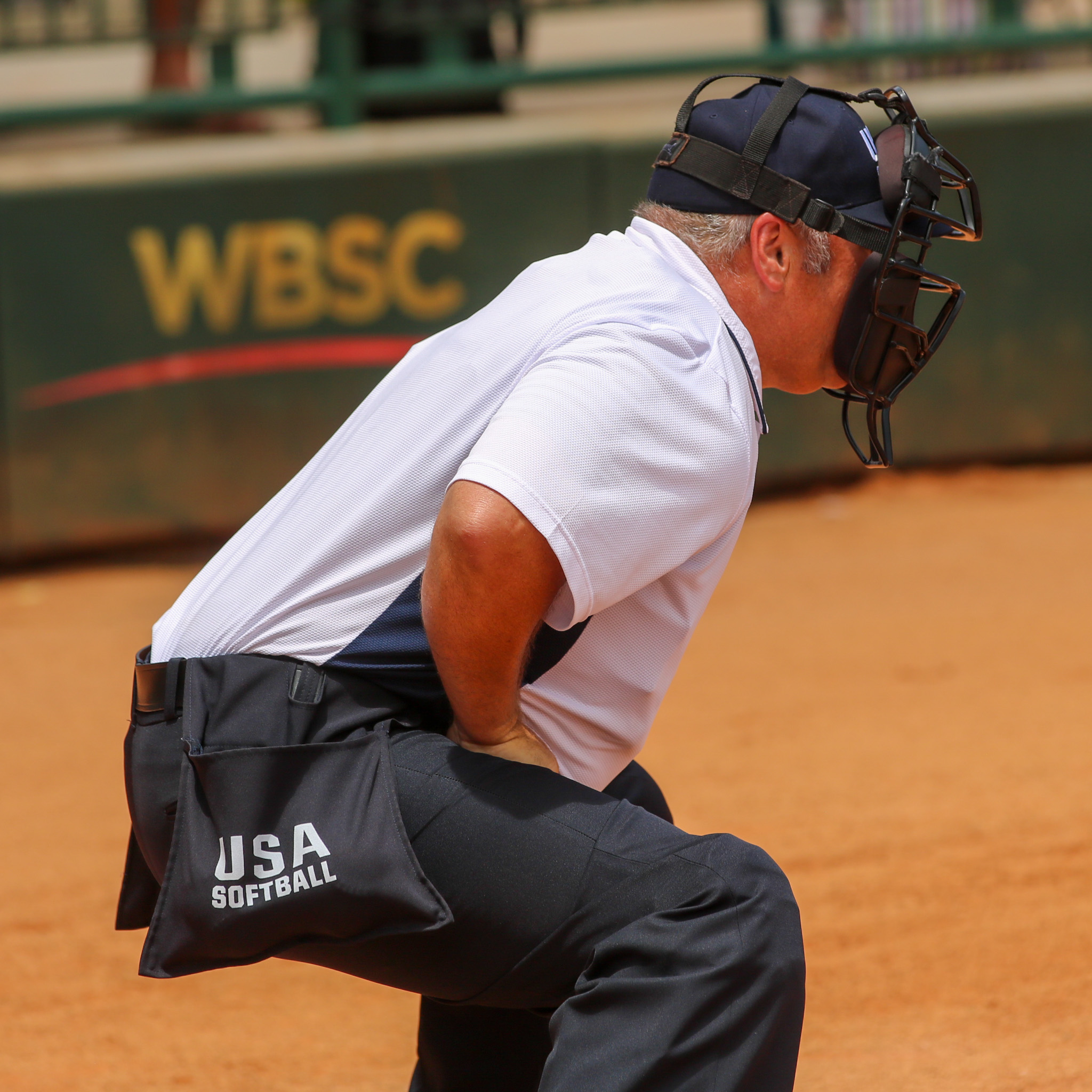 About USA Softball Umpires USA Softball